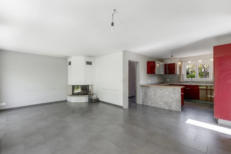 7.5-room villa at the end of a double cul-de-sac, set in an exceptionally peaceful residential environment (2)