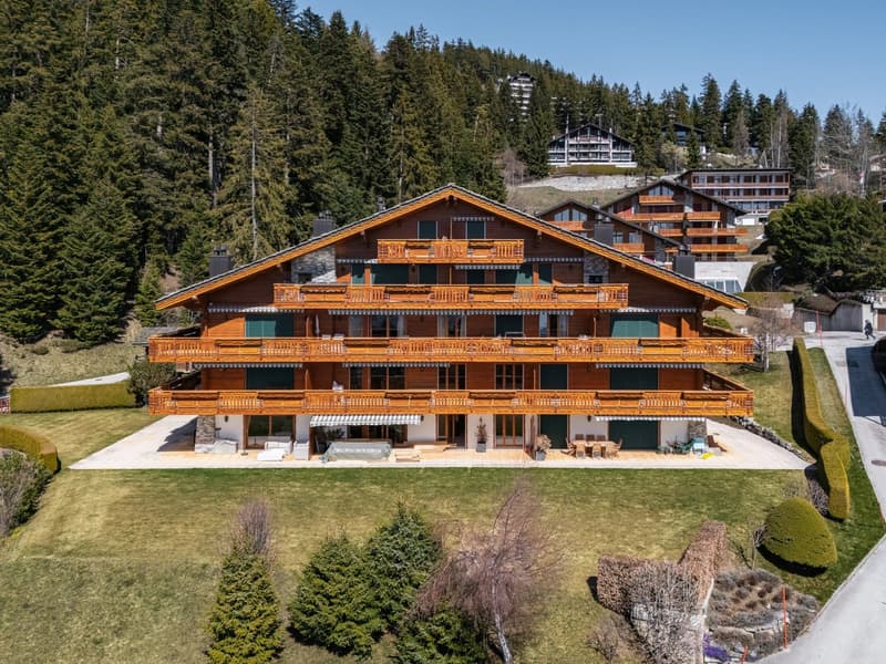 Bright apartment with panoramic views of the Alps and the Rhône Valley (12)