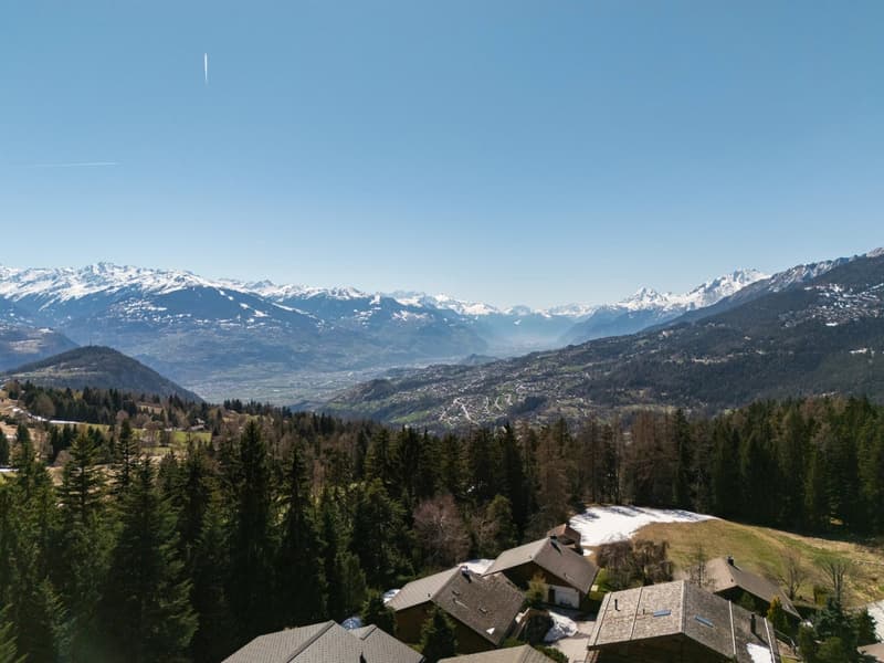 Bright apartment with panoramic views of the Alps and the Rhône Valley (13)