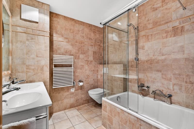 Bright apartment with panoramic views of the Alps and the Rhône Valley (8)