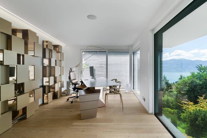 Exceptional Contemporary Villa with Panoramic Views over Lake Geneva and the Alps (9)
