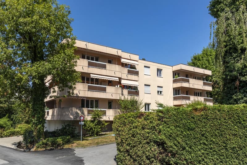 Bel appartement avec terrasse à Pully (7)