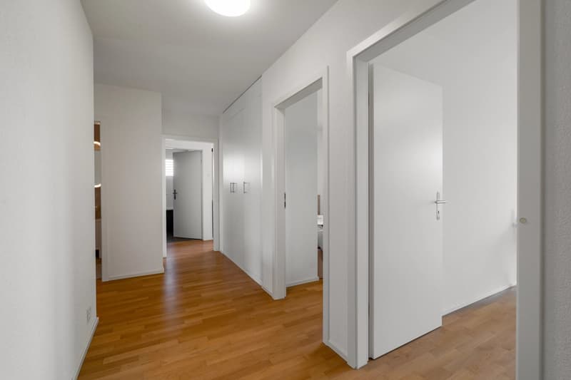 Contemporary 4.5-Room Penthouse Apartment Close to the Lake (8)