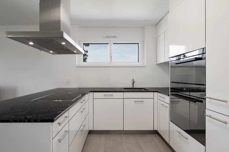 Contemporary 4.5-Room Penthouse Apartment Close to the Lake (3)