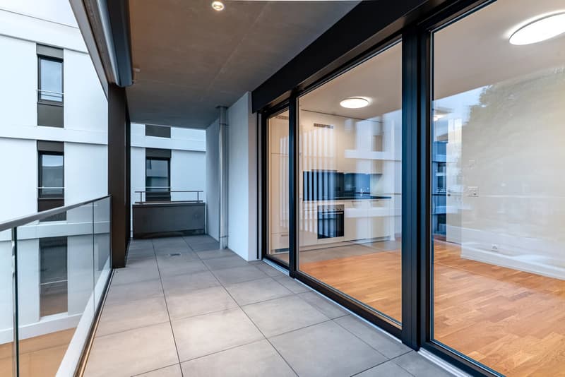Brand-New Studio with Spacious Terrace in Prilly/Malley (3)