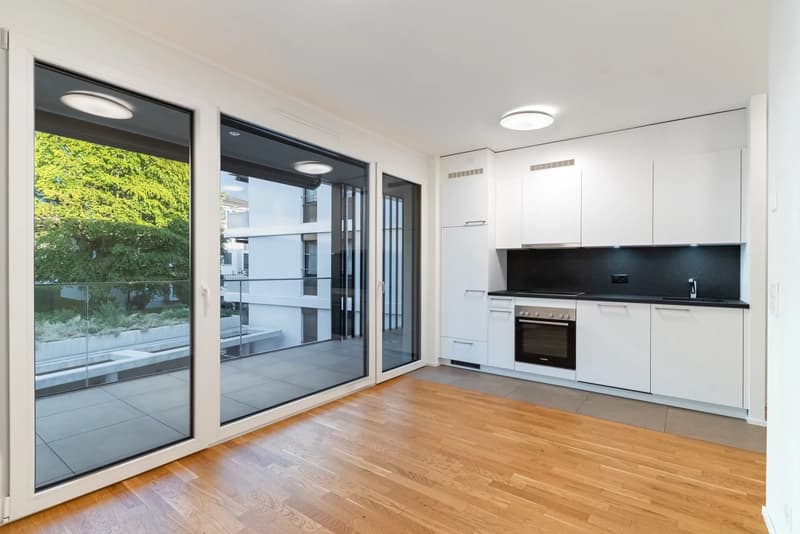 Brand-New Studio with Spacious Terrace in Prilly/Malley (1)