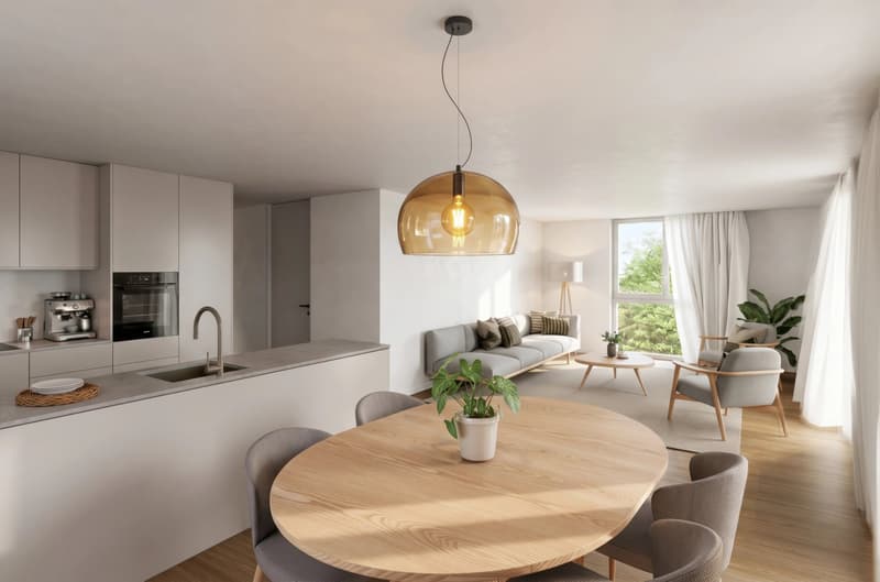 L'Orée du Rogin, 6 appartements Minergie de 4.5 pièces (1)