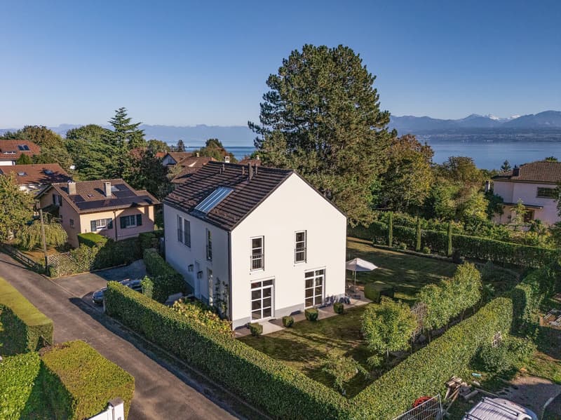 Character Property with Remarkable Volumes Just Steps from the Lake (12)