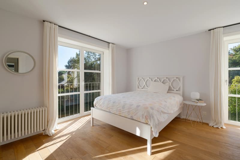 Character Property with Remarkable Volumes Just Steps from the Lake (9)