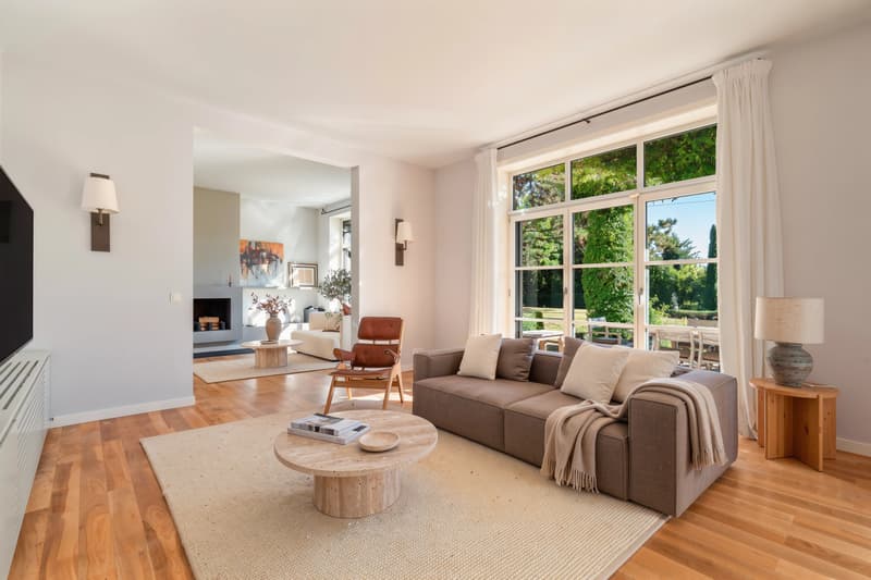 Character Property with Remarkable Volumes Just Steps from the Lake (2)