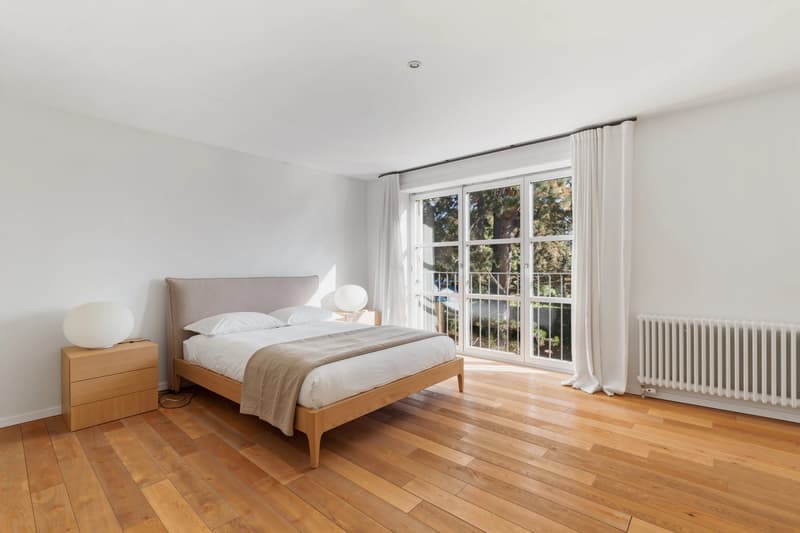 Character Property with Remarkable Volumes Just Steps from the Lake (5)