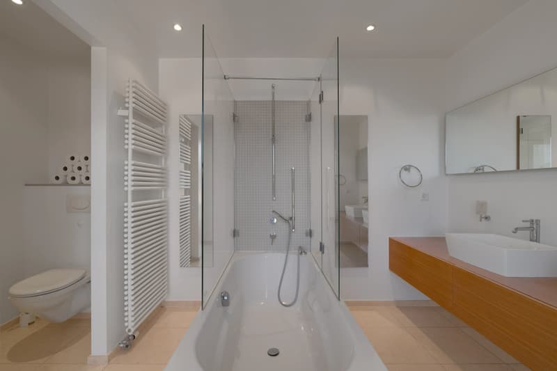Character Property with Remarkable Volumes Just Steps from the Lake (8)
