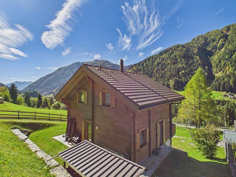 Magnifique chalet avec vue imprenable sur les montagnes (3)