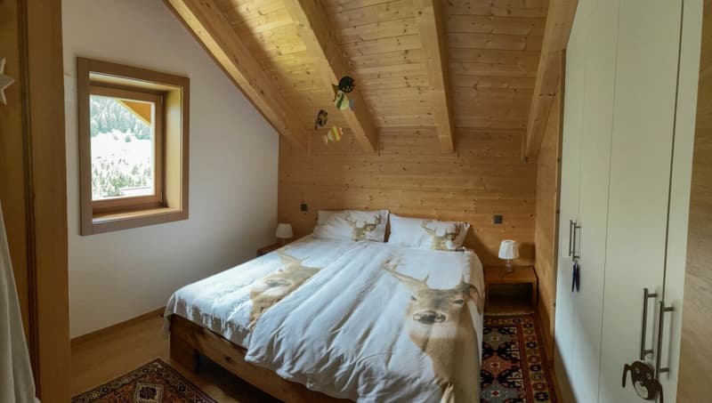 Magnifique chalet avec vue imprenable sur les montagnes (14)