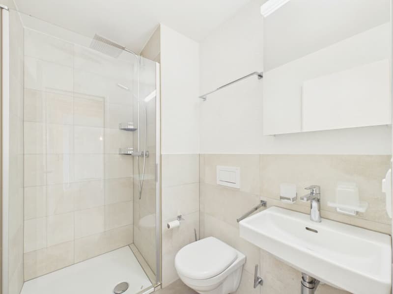 Appartamento maisonnette da sogno a Lupfig con ristrutturazione moderna (5)