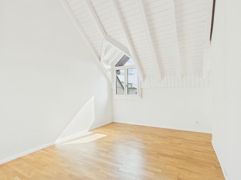 Appartamento maisonnette da sogno a Lupfig con ristrutturazione moderna (9)
