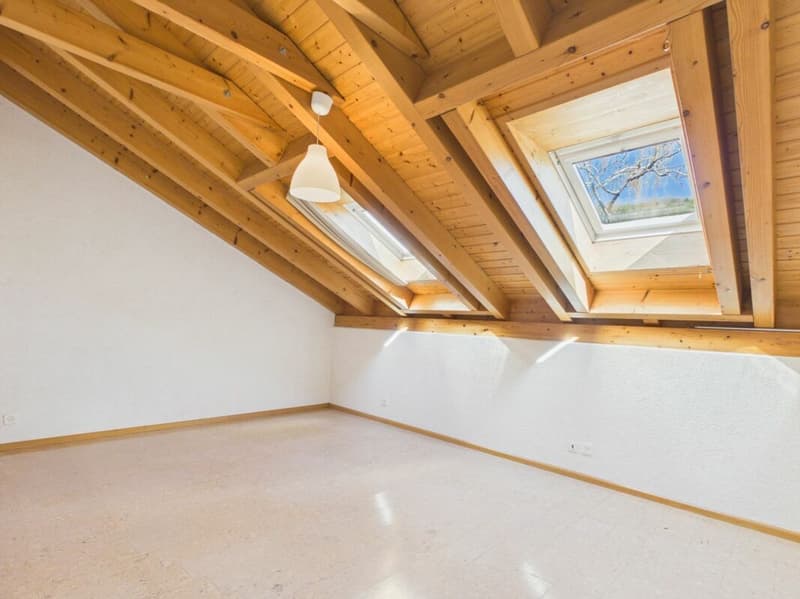 Charming 2.5-room apartment with a great view (7)