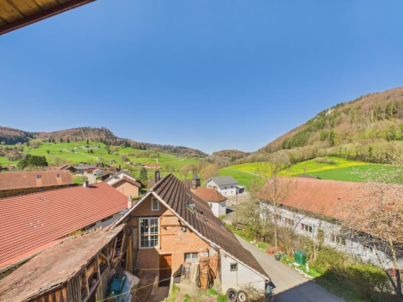 Charming 2.5-room apartment with a great view (15)