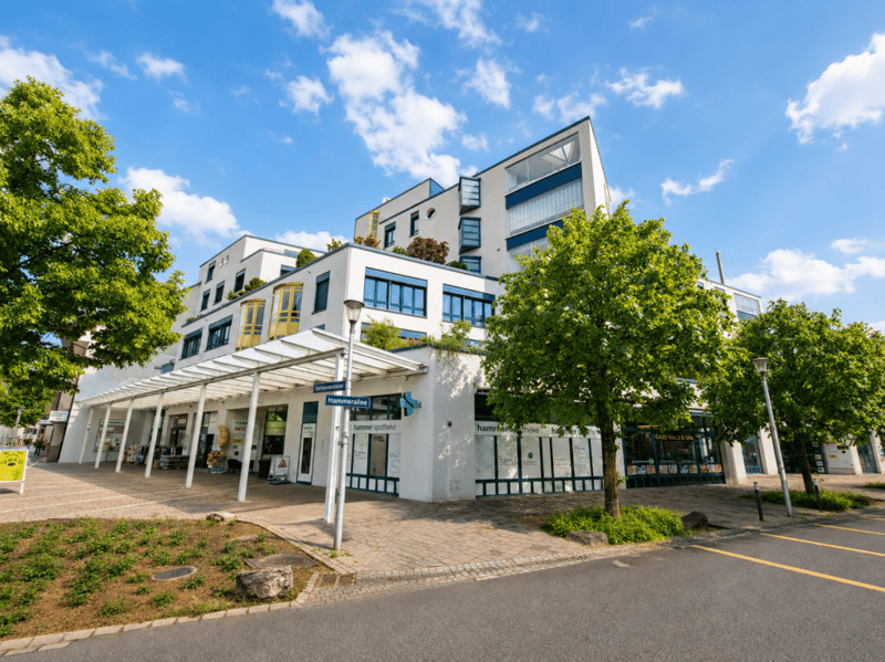 8.8% Rendite-Hit! Vollvermietetes Gewerbe im Zentrum von Olten zu verkaufen (5)