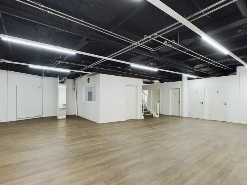 8.8% Rendite-Hit! Vollvermietetes Gewerbe im Zentrum von Olten zu verkaufen (10)