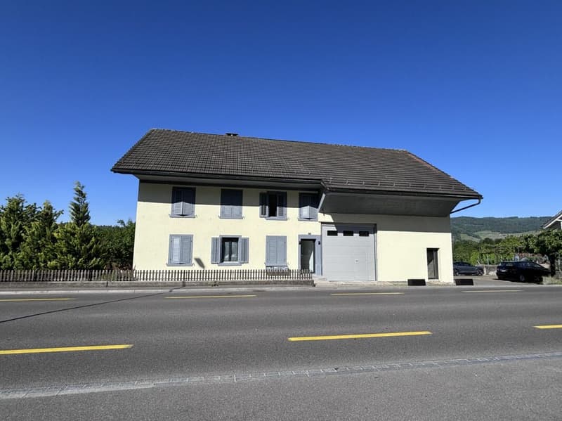 Excellente Opportunité ! Maison multifamiliale complètement rénovée avec réserve de terrain constructible (2)