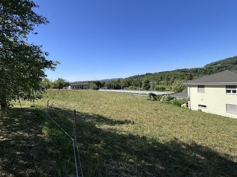 Excellente Opportunité ! Maison multifamiliale complètement rénovée avec réserve de terrain constructible (11)