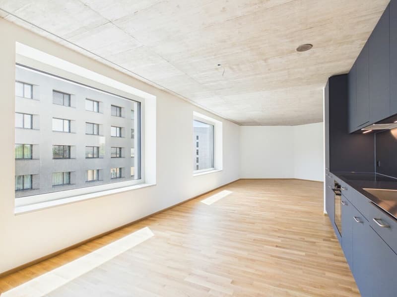 Erstbezug im modernen Neubau - hochwertiges Wohnen mitten in Basel (5)