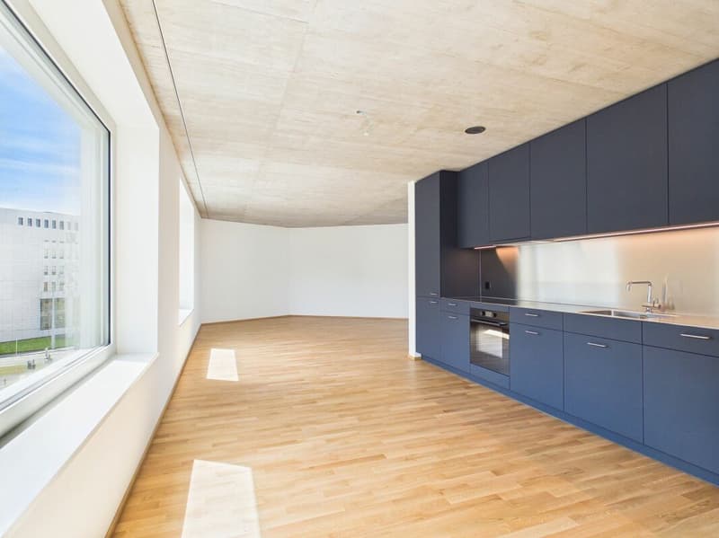 Erstbezug im modernen Neubau - hochwertiges Wohnen mitten in Basel (1)