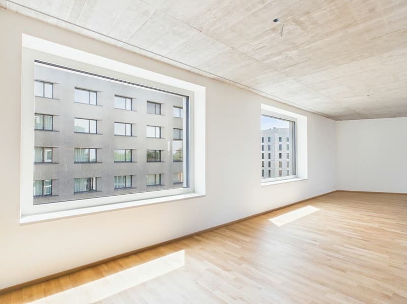 Erstbezug im modernen Neubau - hochwertiges Wohnen mitten in Basel (7)