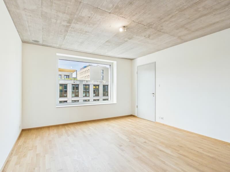 Erstbezug im modernen Neubau - hochwertiges Wohnen mitten in Basel (3)