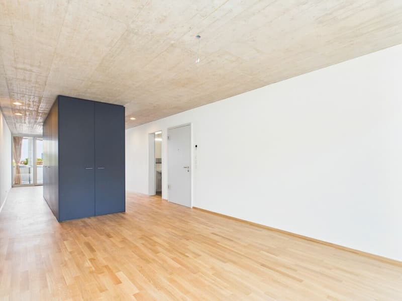 Erstbezug im modernen Neubau - hochwertiges Wohnen mitten in Basel (11)