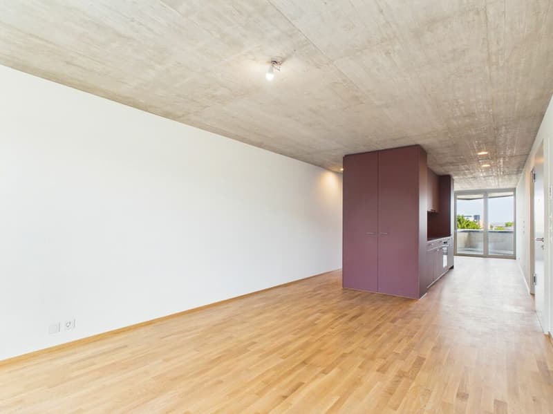 Erstbezug im modernen Neubau - hochwertiges Wohnen mitten in Basel (1)