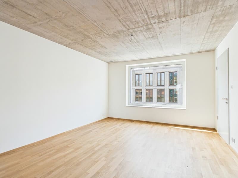 Erstbezug im modernen Neubau - hochwertiges Wohnen mitten in Basel (2)