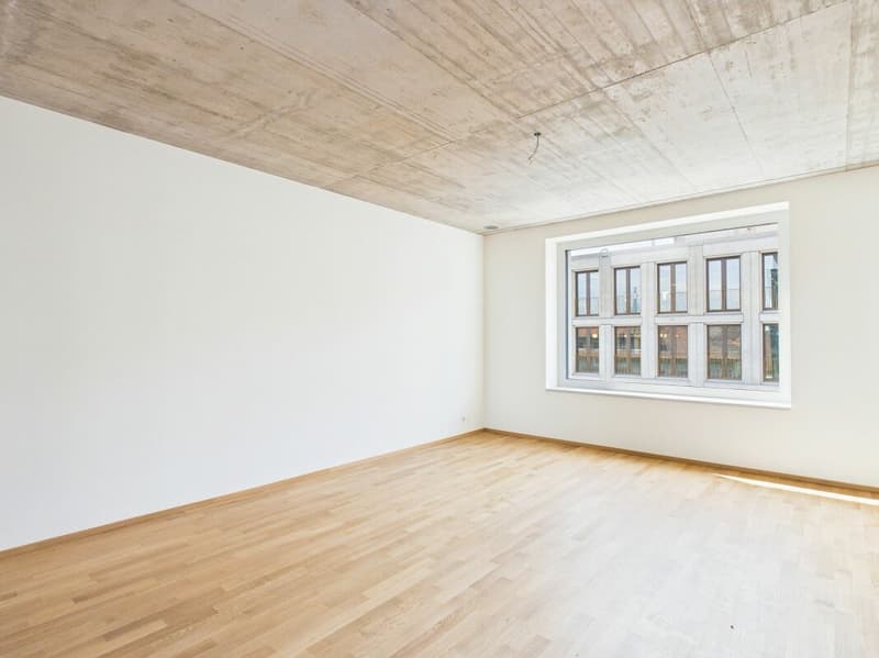 Erstbezug im modernen Neubau - hochwertiges Wohnen mitten in Basel (10)
