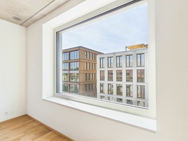 Erstbezug im modernen Neubau - hochwertiges Wohnen mitten in Basel (1)