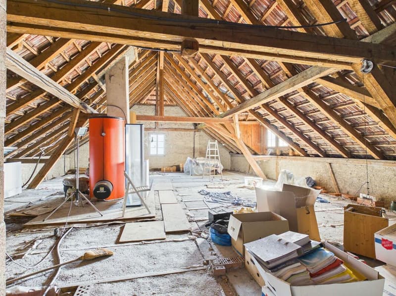 Grosses Bauernhaus mit viel Potential (13)