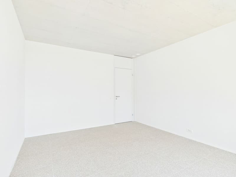 Moderne 4.5-Zimmer-Wohnung mit Weitsicht über Aarau (12)