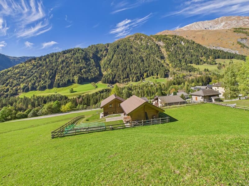 Wunderschönes Chalet mit unverbauter Aussicht auf die Berge (1)
