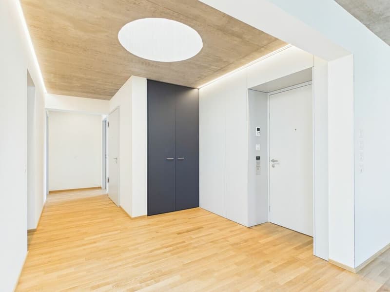 Erstbezug im modernen Neubau - hochwertiges Wohnen mitten in Basel (1)