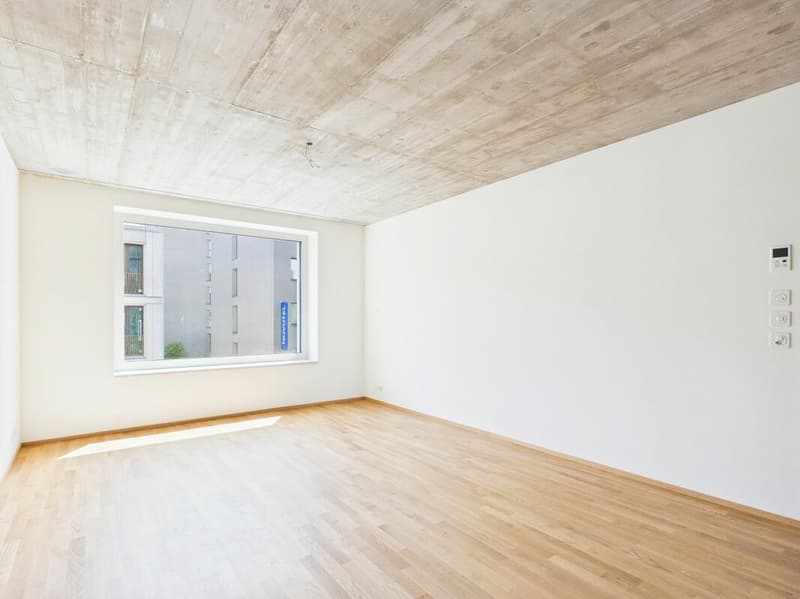 Erstbezug im modernen Neubau - hochwertiges Wohnen mitten in Basel (7)