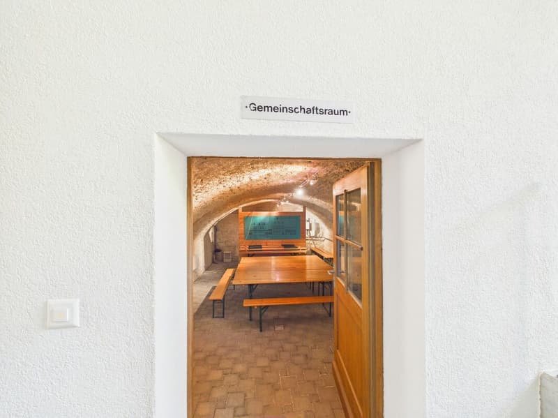 Lichtdurchflutete 4.5-Zimmer-Gartenwohnung mit Gartensitzplatz (20)