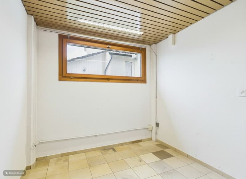 Freistehende Villa mit Spa, Gewerbeeinheit und viel Gestaltungsspielraum (35)