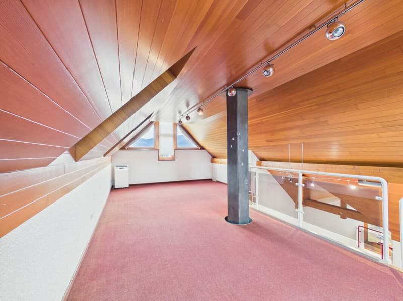 Freistehende Villa mit Spa, Gewerbeeinheit und viel Gestaltungsspielraum (7)
