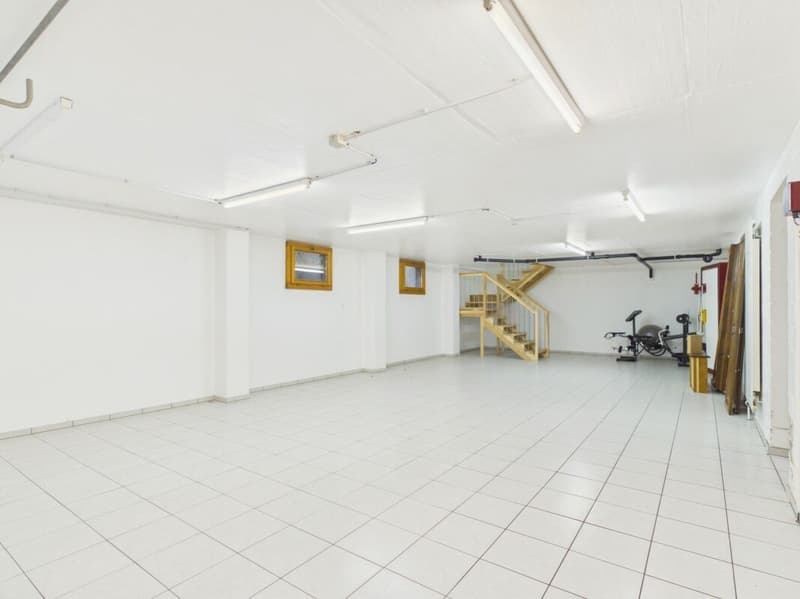 Freistehende Villa mit Spa, Gewerbeeinheit und viel Gestaltungsspielraum (40)