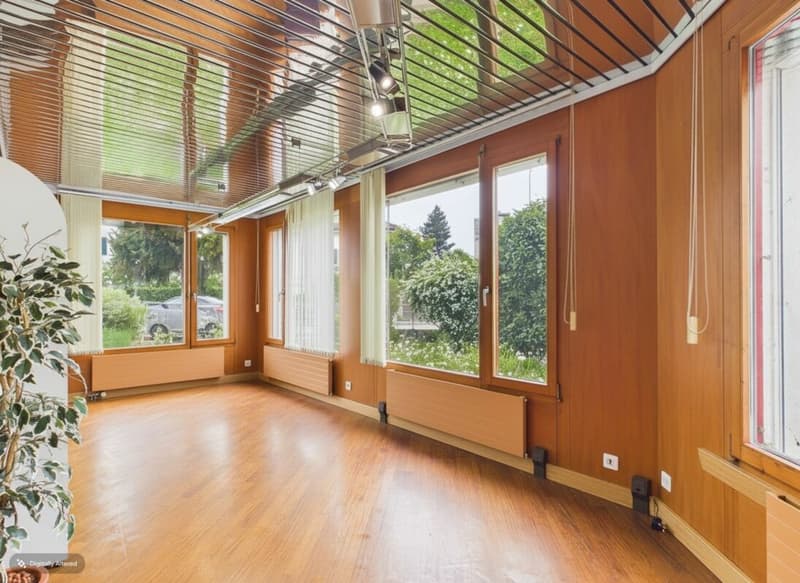 Freistehende Villa mit Spa, Gewerbeeinheit und viel Gestaltungsspielraum (30)