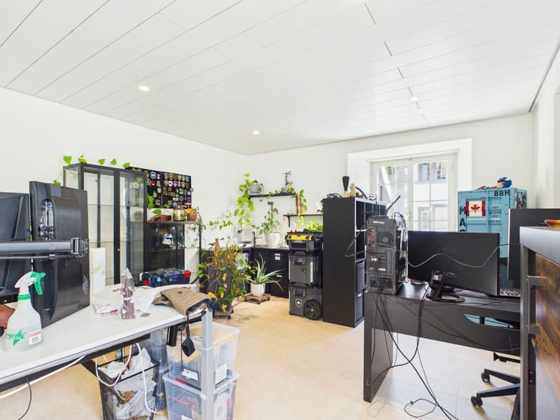 Grosszügige 5.5-Zimmer-Maisonette mit 177 m² und zwei Balkonen (17)