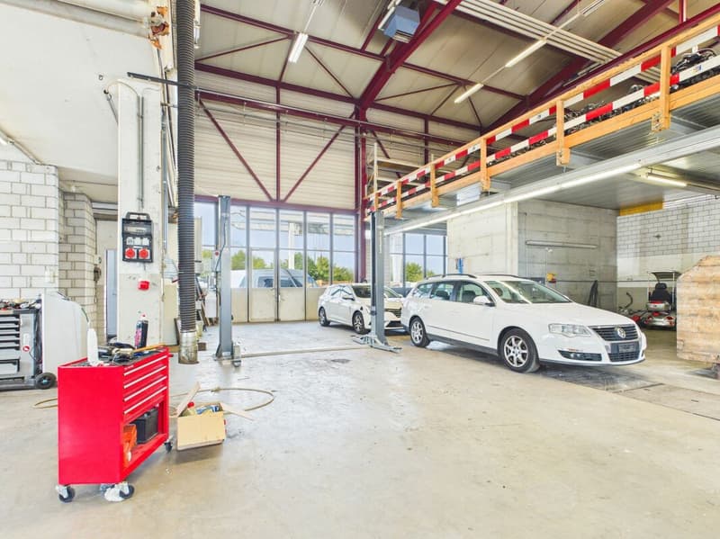 Halle mit 4 Räumen (ca. 350 m²) - ideal als Garage/Werkstatt in Rafz (1)