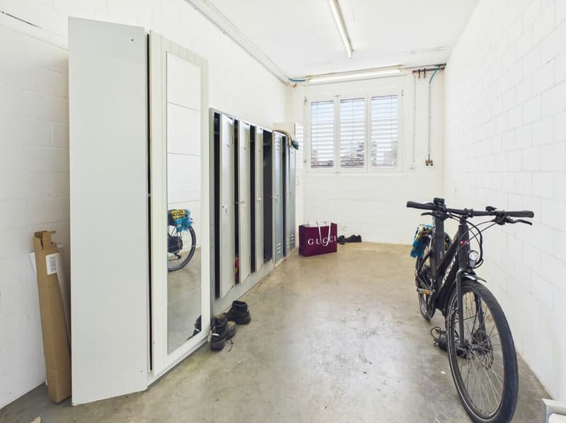 Halle mit 4 Räumen (ca. 350 m²) - ideal als Garage/Werkstatt in Rafz (7)