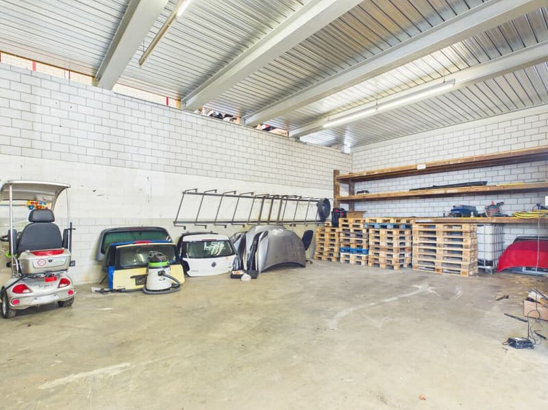 Halle mit 4 Räumen (ca. 350 m²) - ideal als Garage/Werkstatt in Rafz (9)
