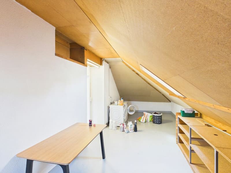 Geräumige Attikawohnung an bester Lage in Frenkendorf (11)